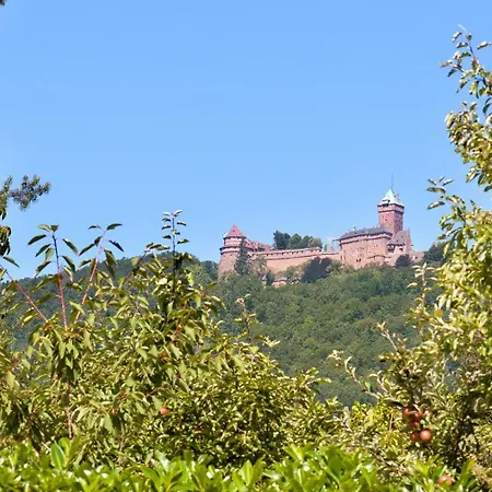 Logis Le Parc & Hotell Saint-Hippolyte (Haut-Rhin)