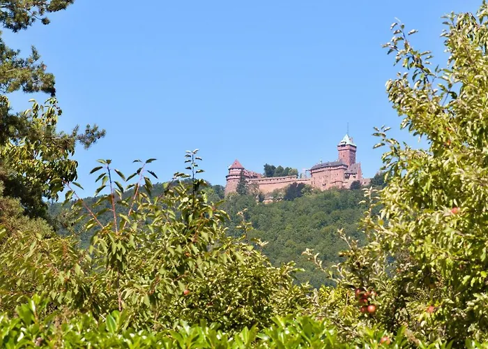 Logis Le Parc & Hotel Saint-Hippolyte (Haut-Rhin)